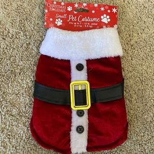 Small Santa pet costume